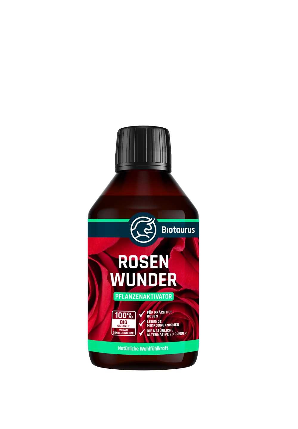 Rosen Wunder